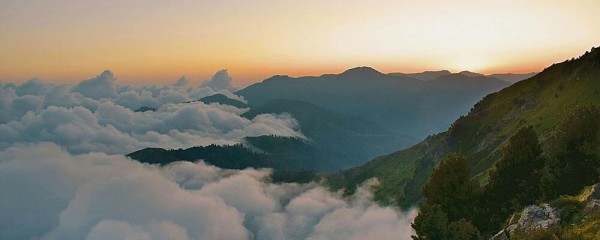 专题一
